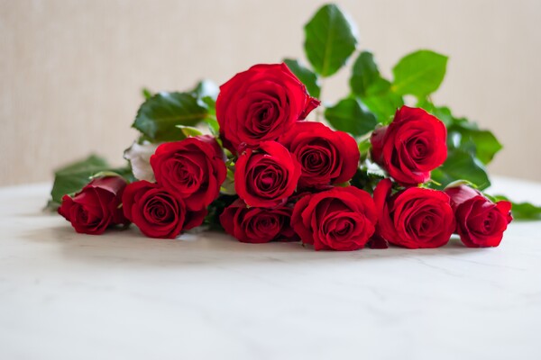 Rote Rosen
